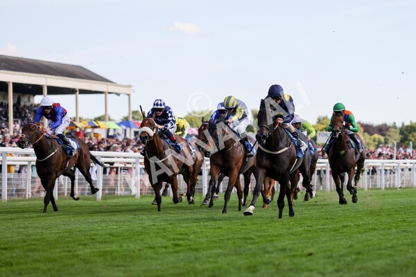 yr09072022r6-13 - Race 6 4.40pm John Smith's City Walls Stakes