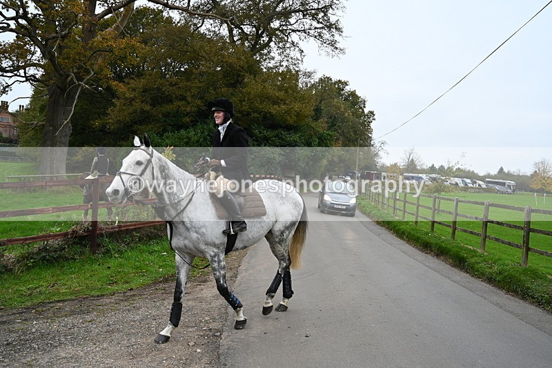 WJ7_7205 - The Meet