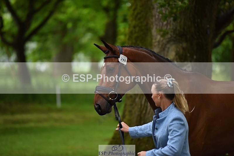 240522-162010-00841 - 240-KINDA_CORVETTE-Dani_Evans