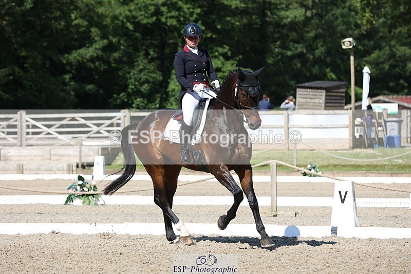 230526-094404-05151 - 357-VIVENDI_HERO-Saffron_Cresswell-WEDTrotUp+DR