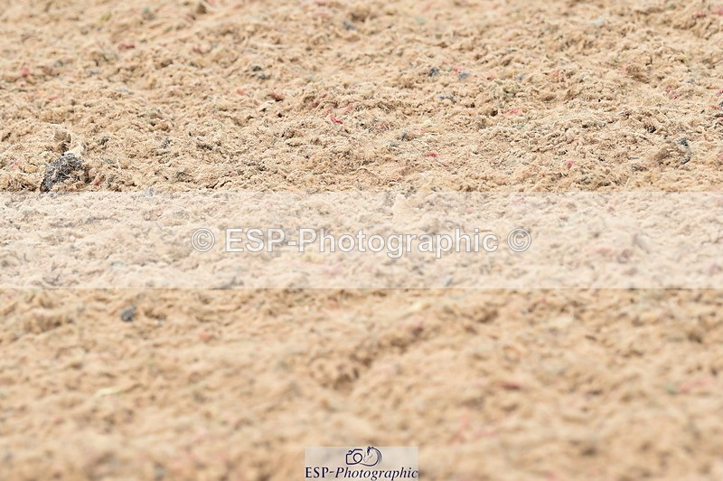 230720A-122812-02556 - Cls 13, 1 Star Bronze 1.10m