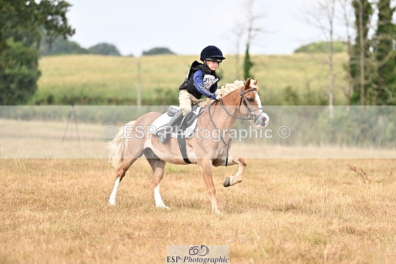 250824A-122747-36105 - 2028-Harry.Honeyball-Sardis.Cassius