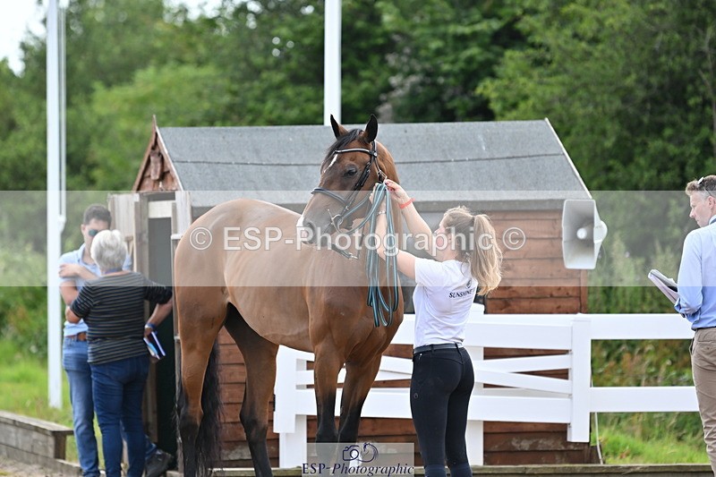 240717A-142709-02065 - Trot Up 2pm to 3pm - This folder is not in time order