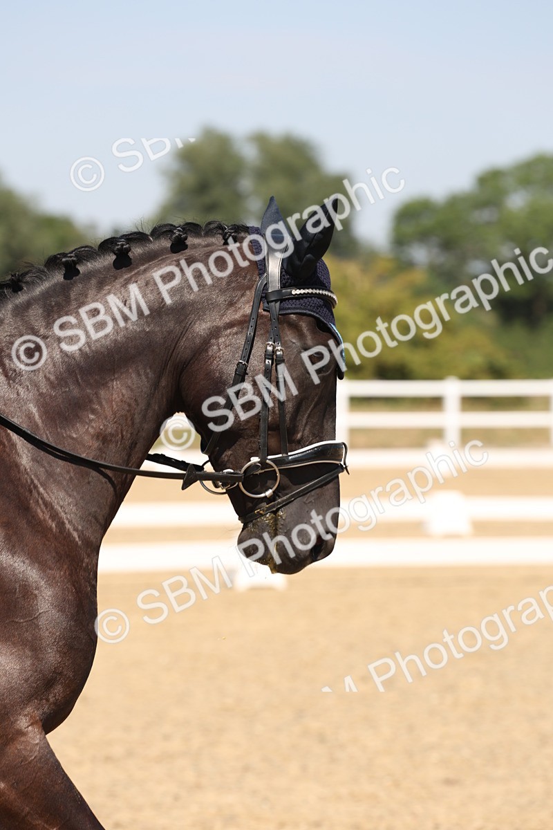 SBM_005664 - Prelim 4 - 13.34-15.39