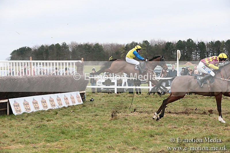 PtP 060119 474 - Larkhill Racing Club - Point-to-Point- 06/01/2019