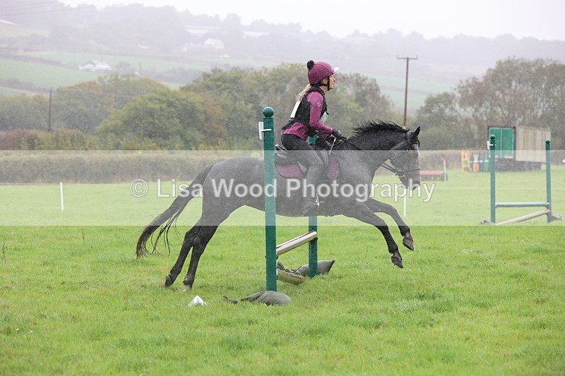 JPP_5115 - Class 1: 65cm : Showjumping