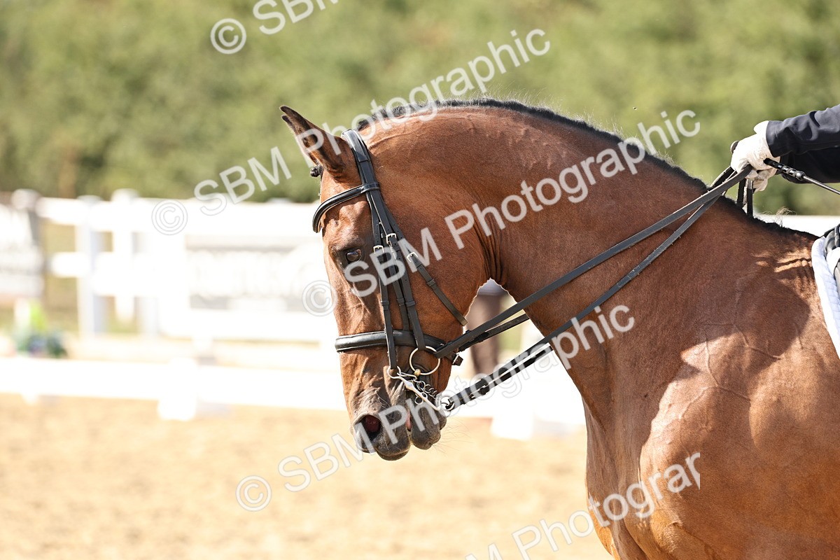 SBM_015424 - Class 9 - Advanced medium 3