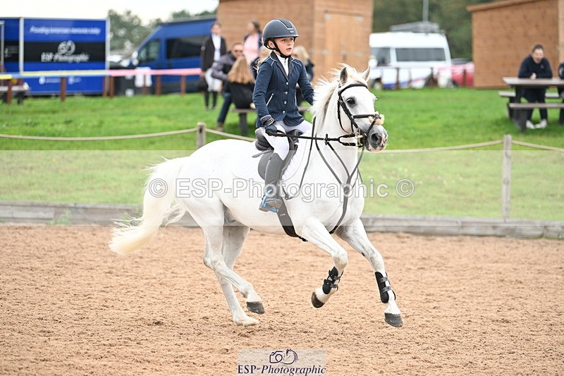 240907A-130656-01866 - Cls 3 Pony Medium Team 80cm & 90cm