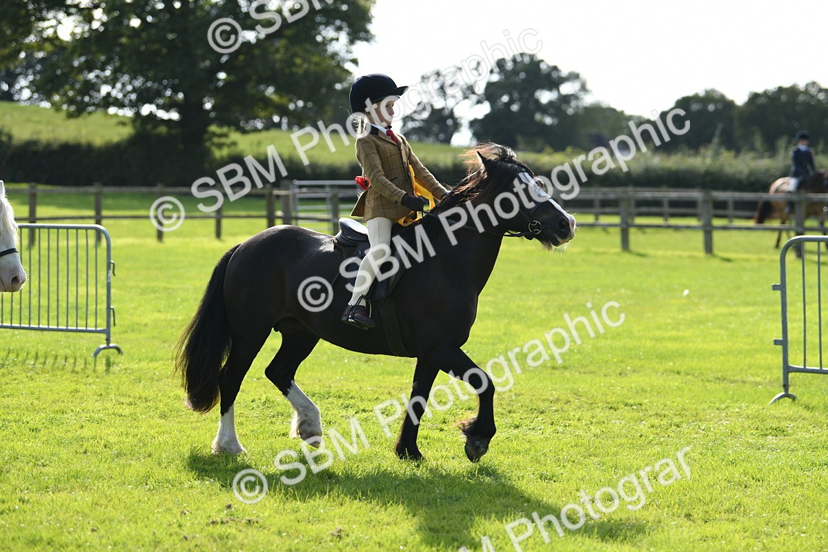 SBM_50534 - S21 - Novice & Newcomers 1st Ridden Pony