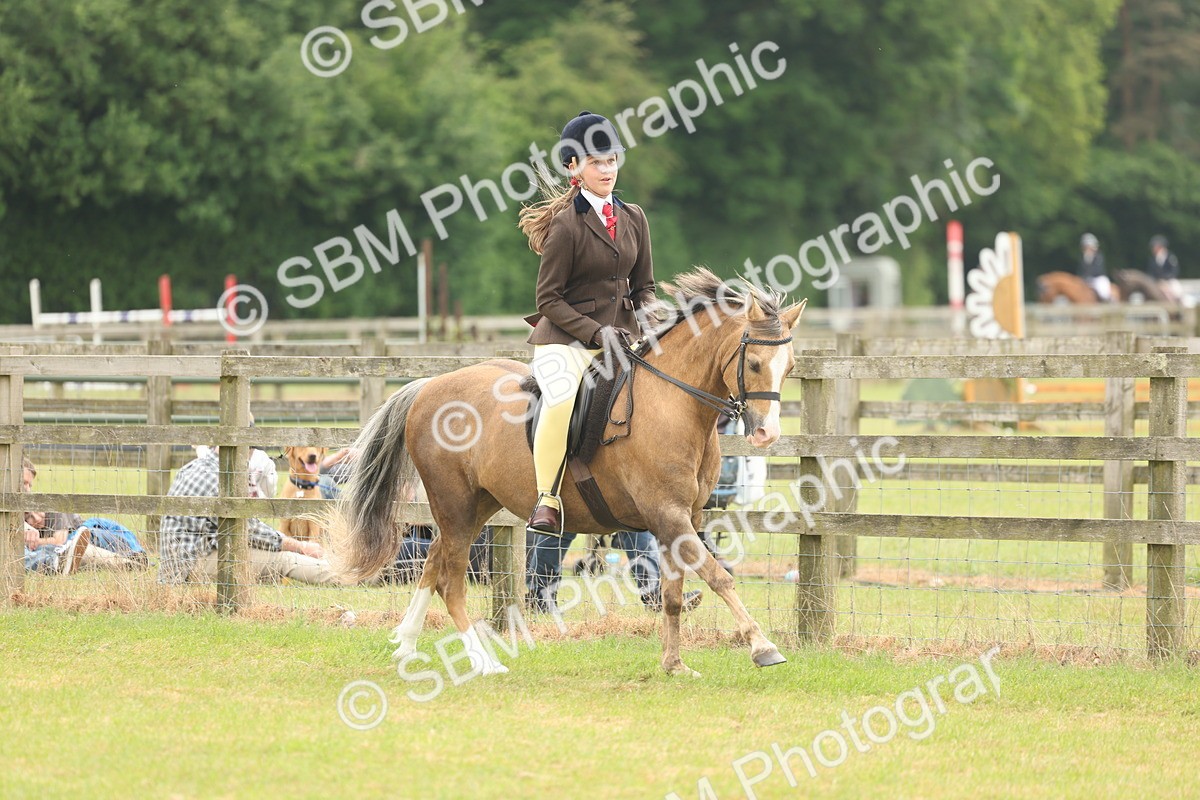 SBM_07098 - Class 76-77 - Ridden M&M Welsh Ponies