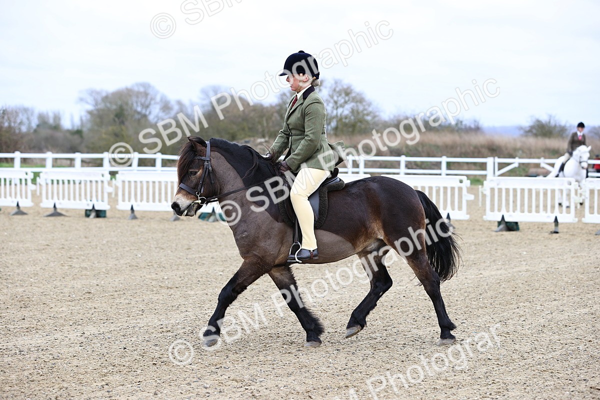 SBM_006804 - Class 29 - 30 - M&M Pure Novice Small-Large Breeds