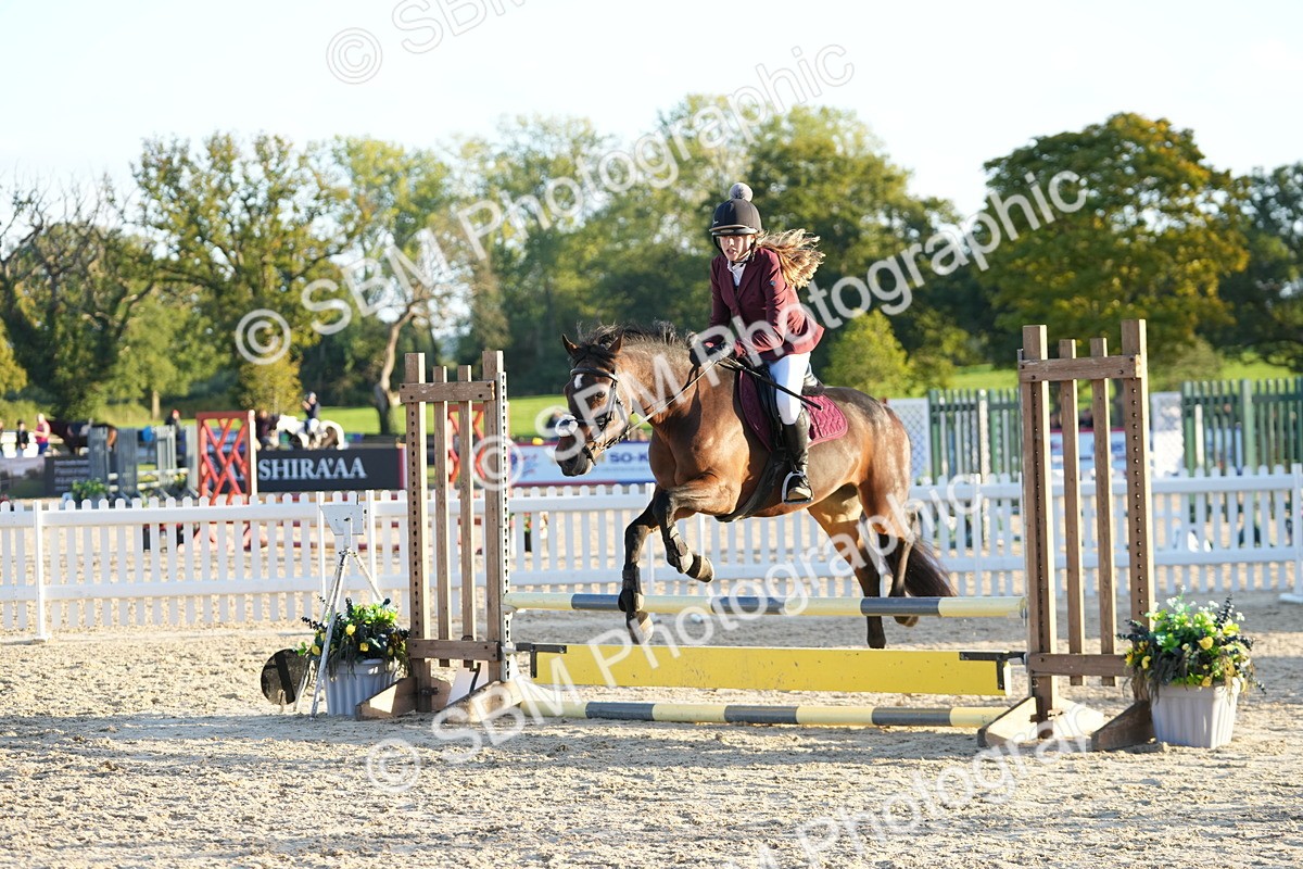 SBM_54164 - Supreme Championship 60cm 65cm