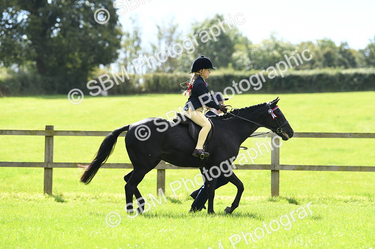 SBM_41140 - S19 - Lead Rein Show & Show Hunter Pony