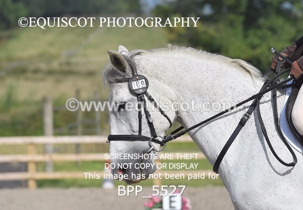 BPP_5527 - MY QUEST OPEN NOVICE TEST 1 + 2