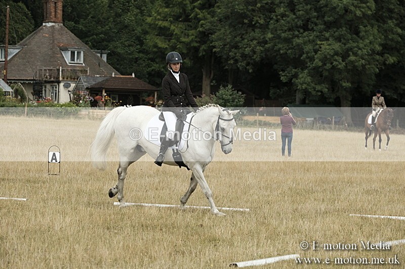 _PJP5771 - Dressage Classes BVRC Show 2018