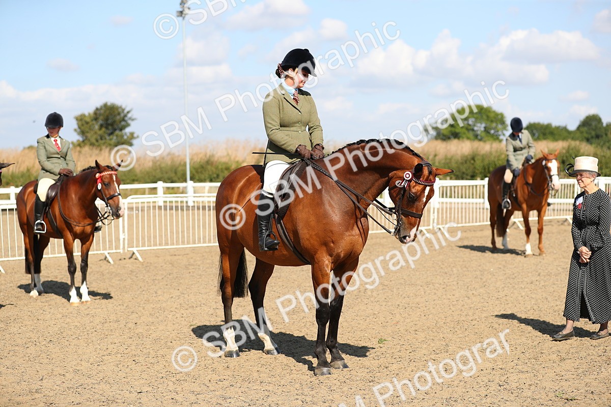 SBM_02345 - Class 43 Ridden Competition Horse/Pony