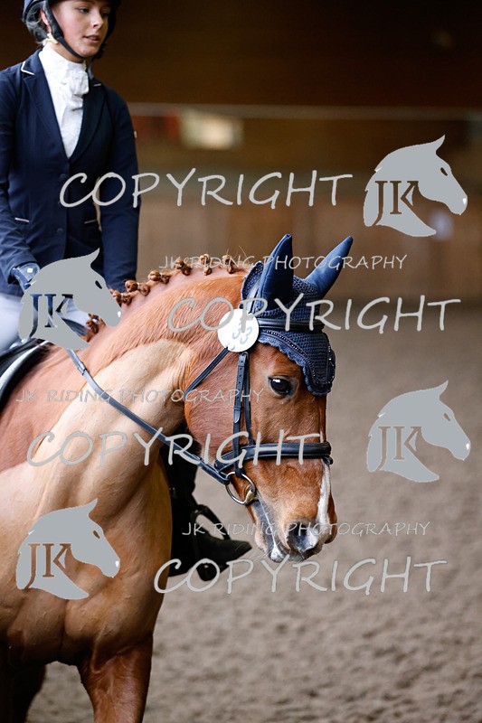 _R6A2695 - Class 4 Novice 2020