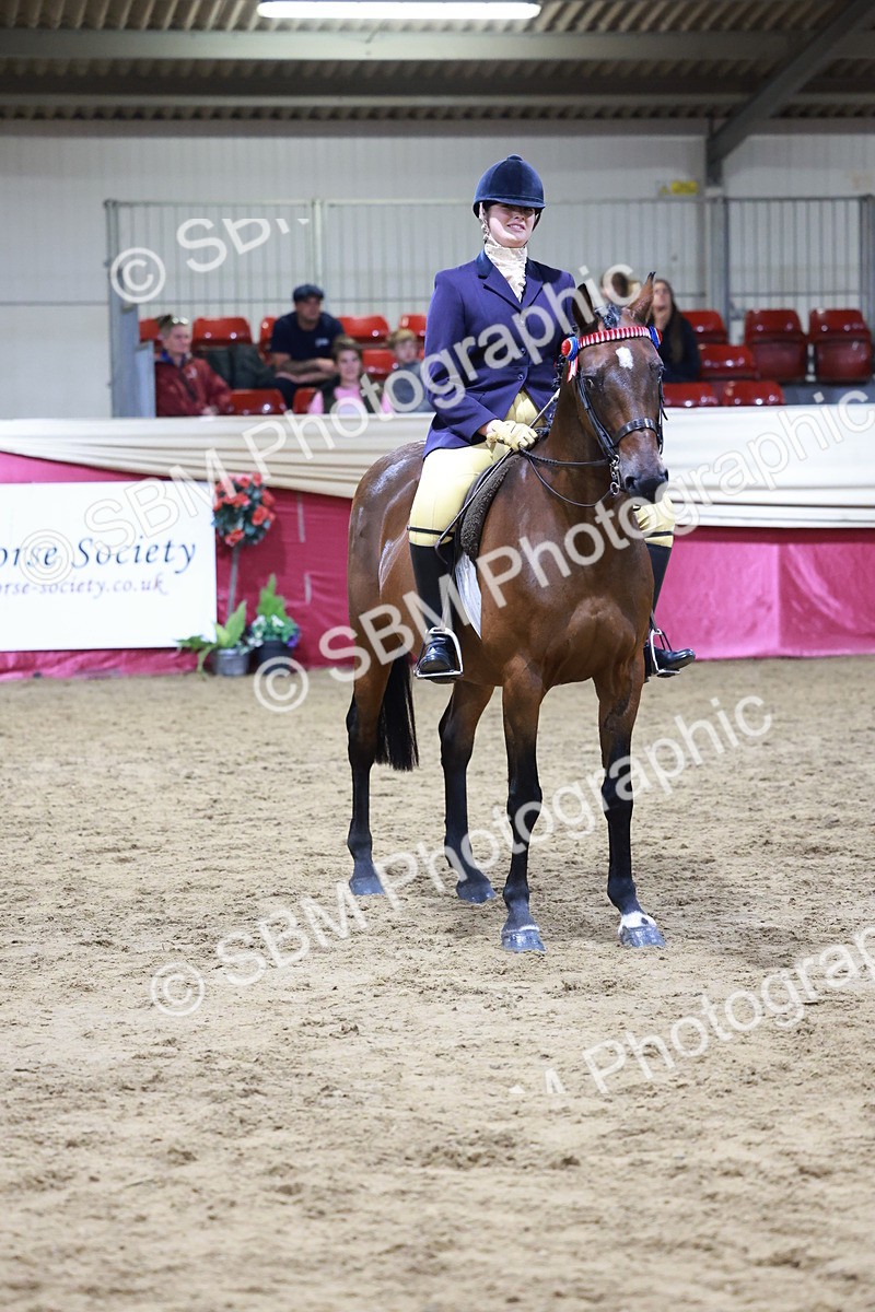 SBM_20567 - Class H - IH Competition - Riding Club champ