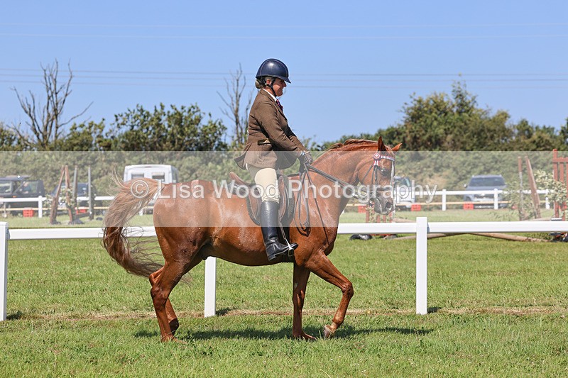 IMG_2210 - Class 37: Pure, Anglo & Part Bred Ridden Arab