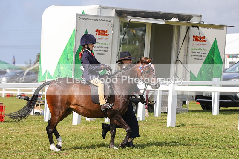 1X9A3568 - Class 29: Lead Rein SP/SHP