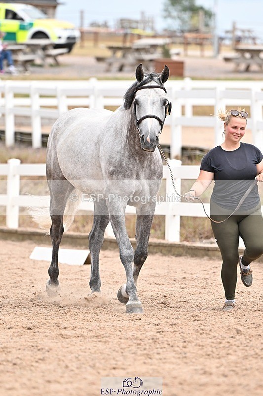 250716-153228-01990 - Trot Up 3.30 to 4.30