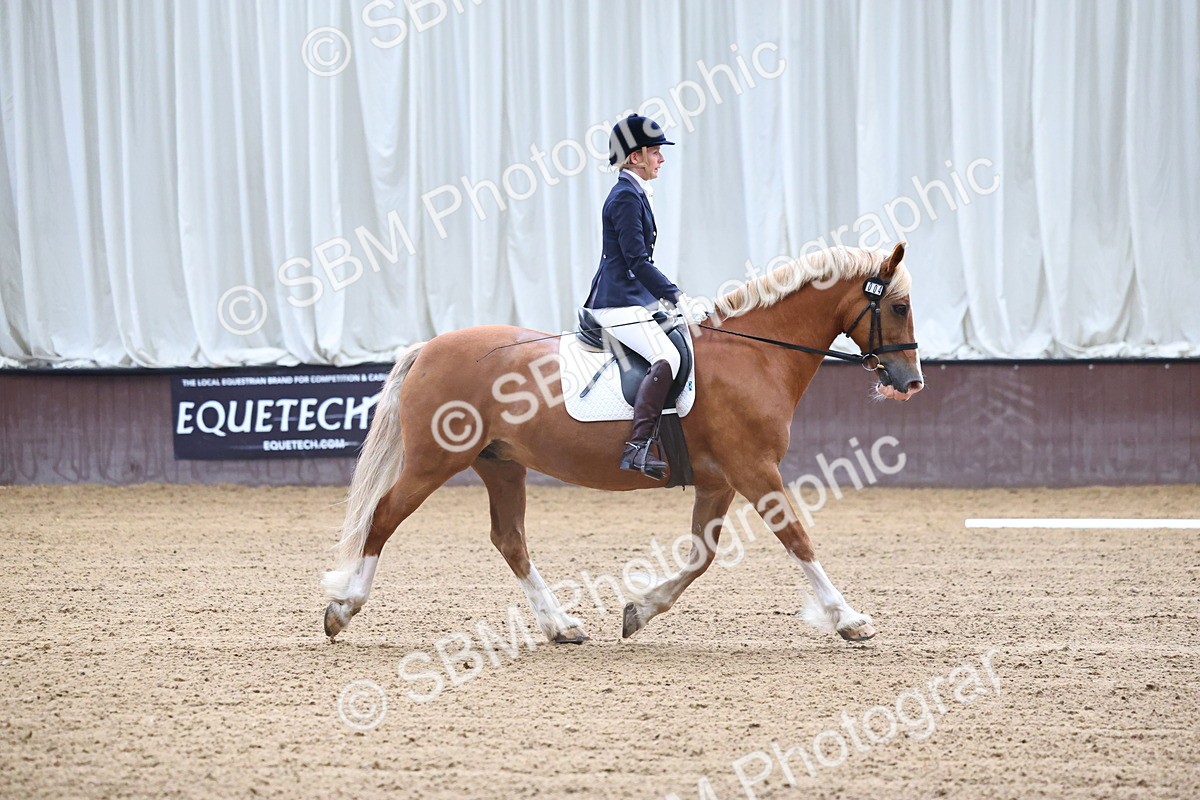 SBM_004101 - Class 1 - Intro 2-3