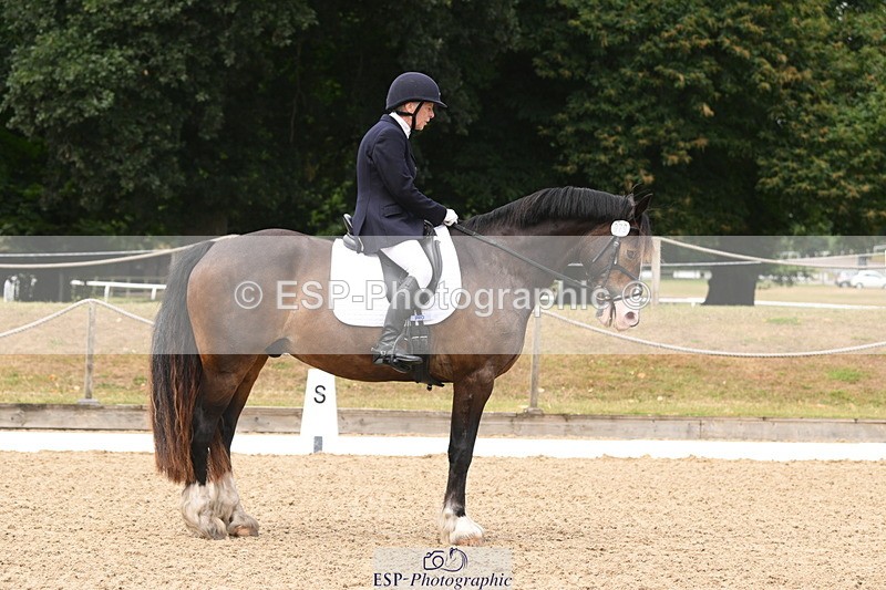 250720A-120203-10138 - 079-Amanda.Williams-Llanarth.Westminster