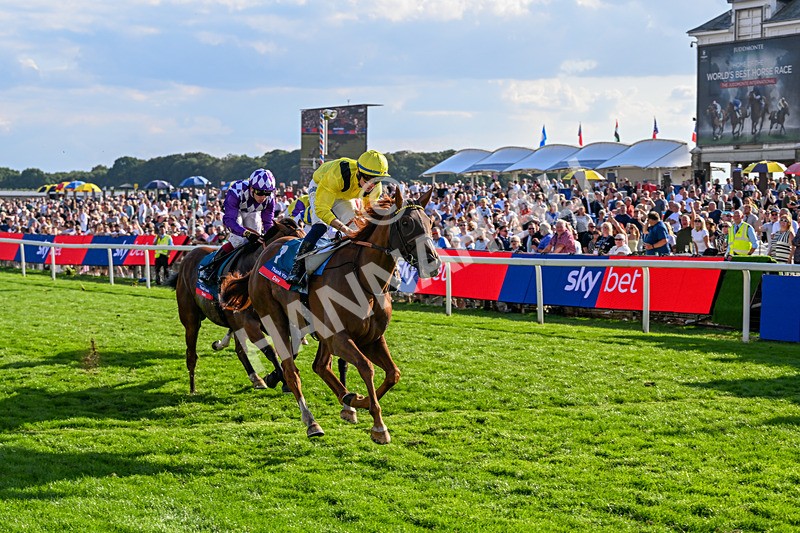 220826-Race 7-Raammee-1884 - Race 7 17.20pm Sky Bet Dav Reid Finale Handicap