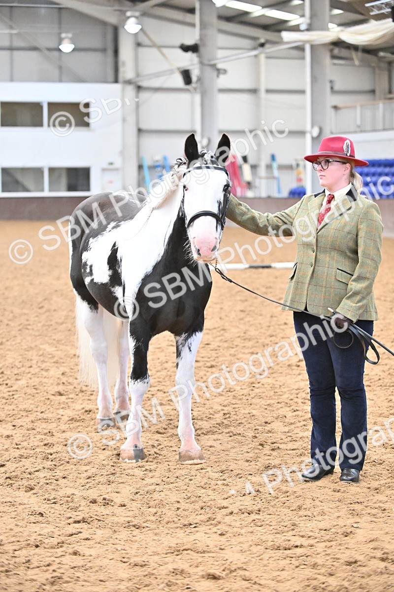 SBM_000296 - Class 10 - In Hand Coloured & Odd Coloured