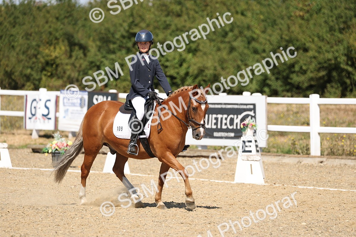 SBM_013734 - Class 1 - P5 Bronze 10.38.12.02