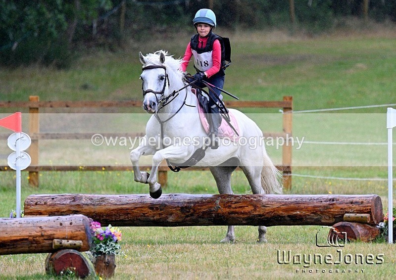 WJ7_5351 - Edited Examples