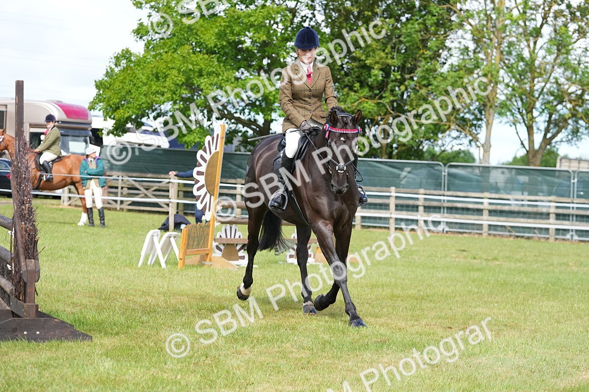 SBM_12878 - Class 99 - RIHS SEIB Working Show Horse