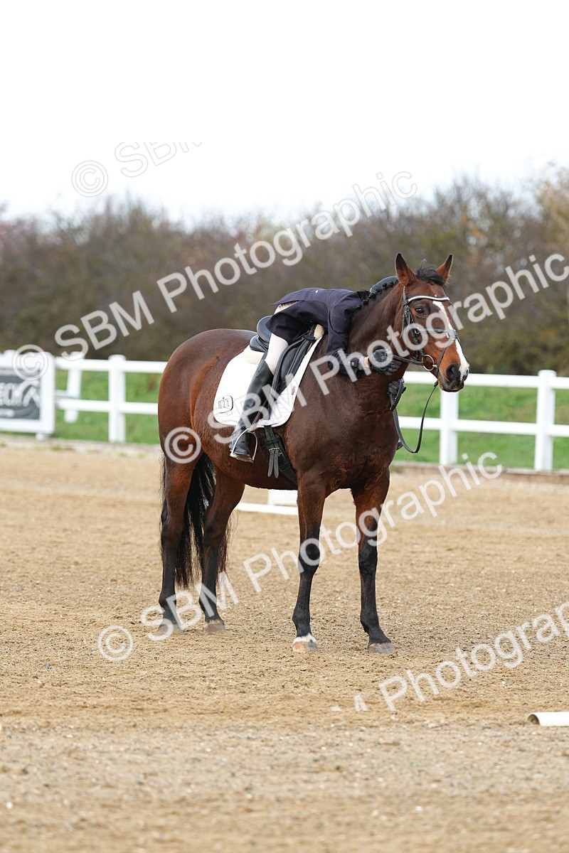 SBM_003775 - Class 7 - Novice 3