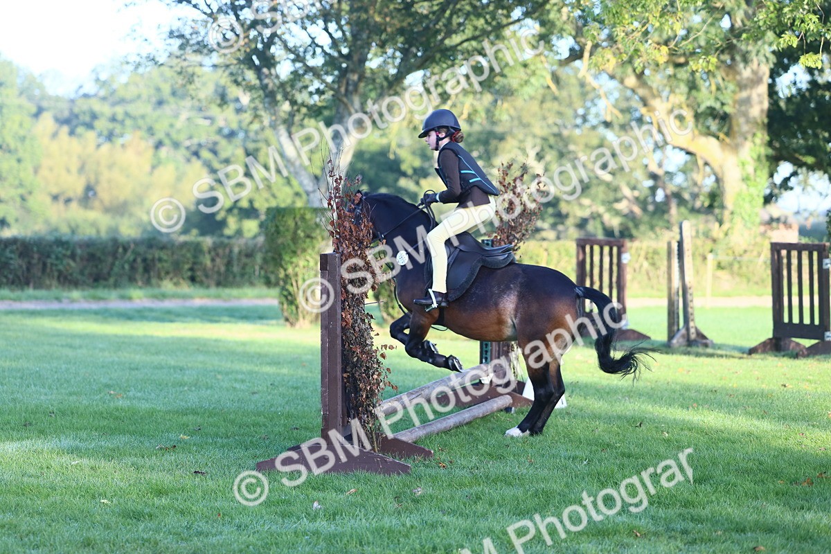 SBM_37283 - S29 - Novice & Newcomers Working Hunter Pony