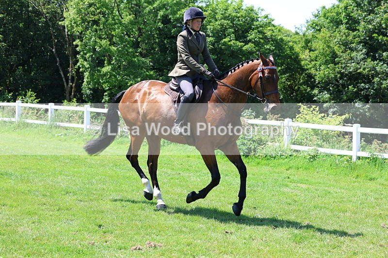 3E7A7513 - Class 31: Working Hunter Cob/Riding Horse