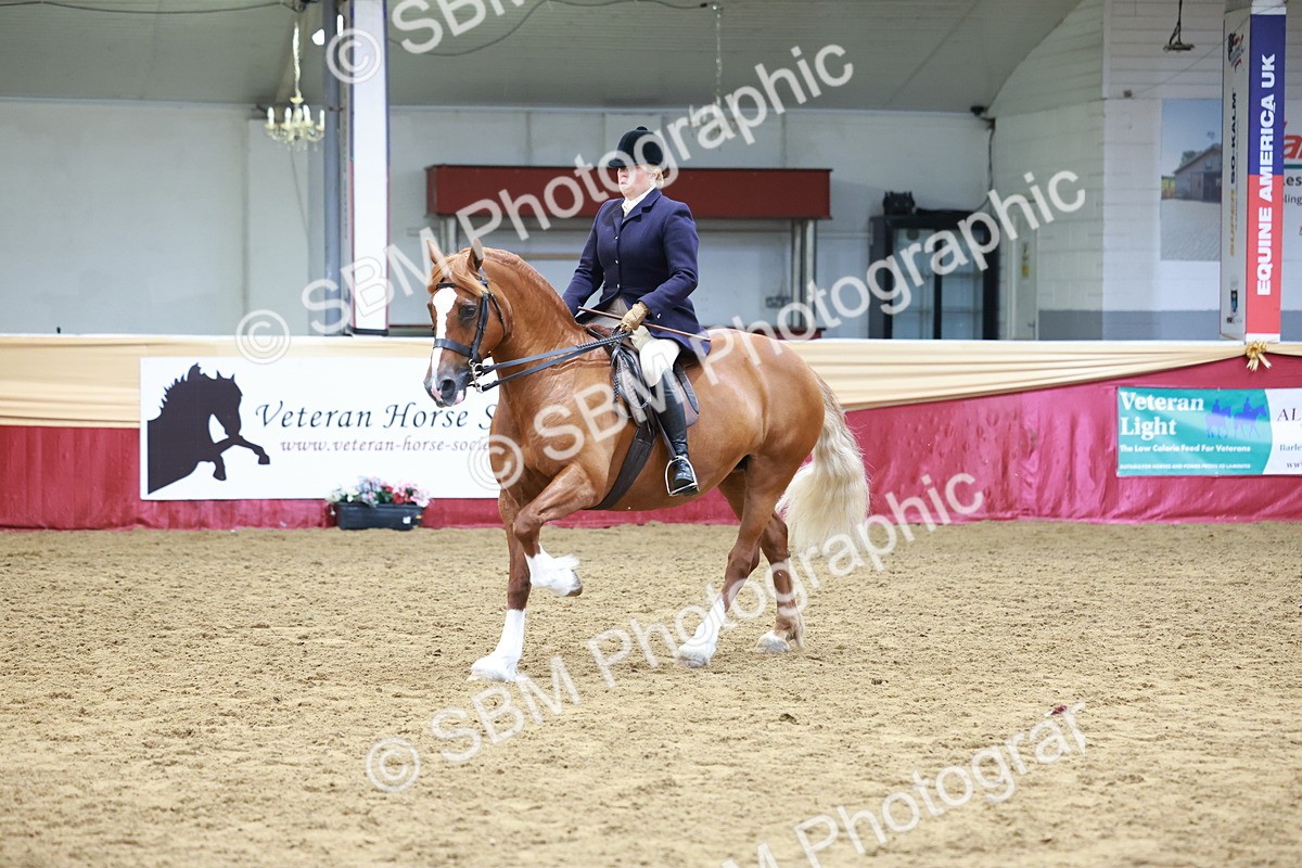 SBM_18620 - Class 952 - M&M Ridden Supreme Final