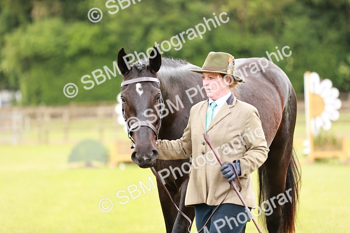 SBM_00793 - Class 26-30 Sport Horse In Hand