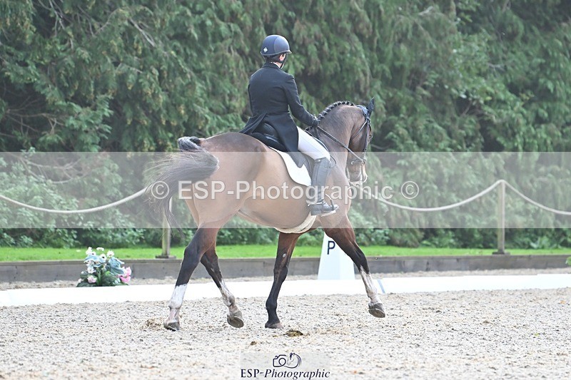 231019-110322-02031 - 105-BRIGHT.KNIGHT.III-Janet.Clarke-DR