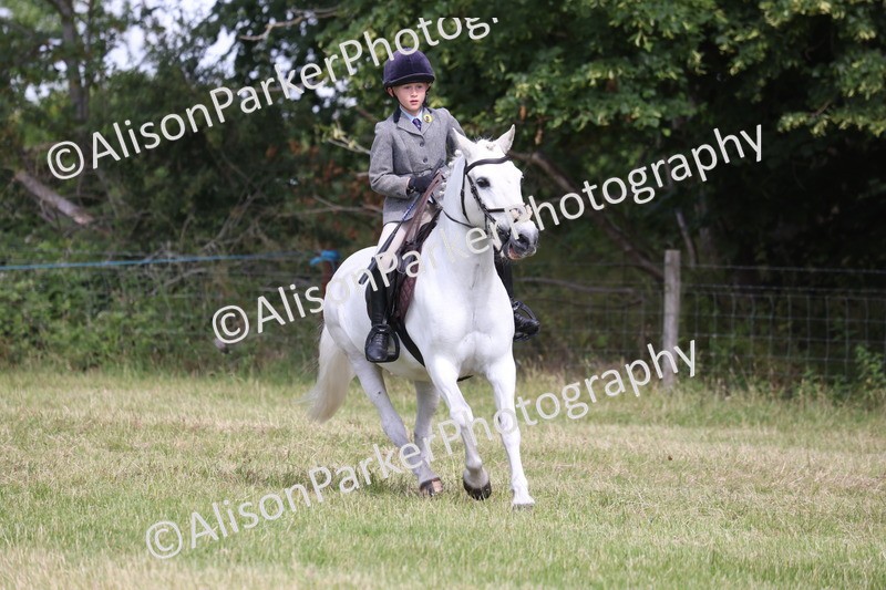 20260614-0556 - Class 20 - Beginners Working Hunter Pony