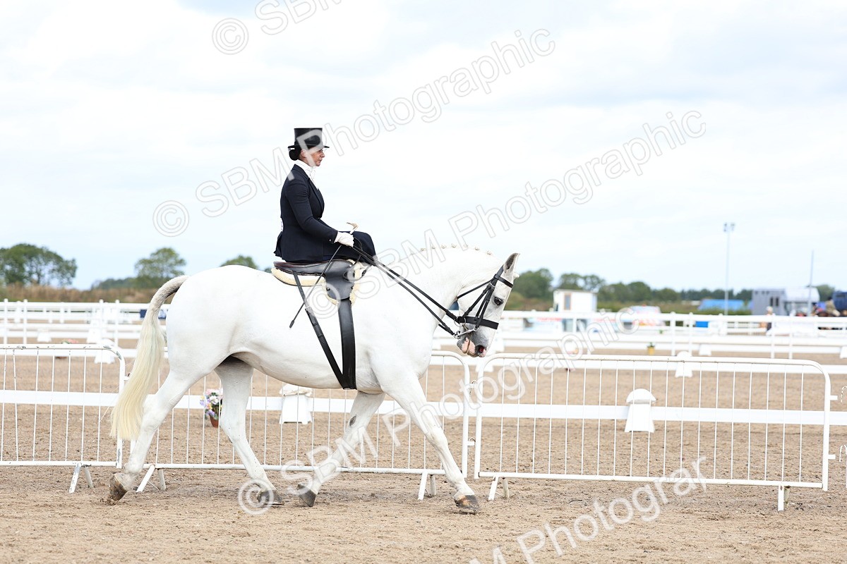 SBM_03189 - Class 22 - SSA Equitation (any age)
