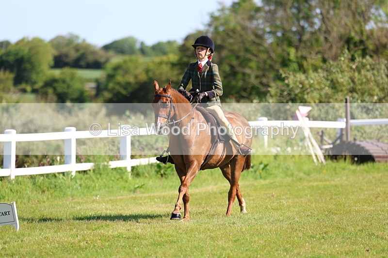 3E7A5986 - Class 27: Novice Working Hunter Pony