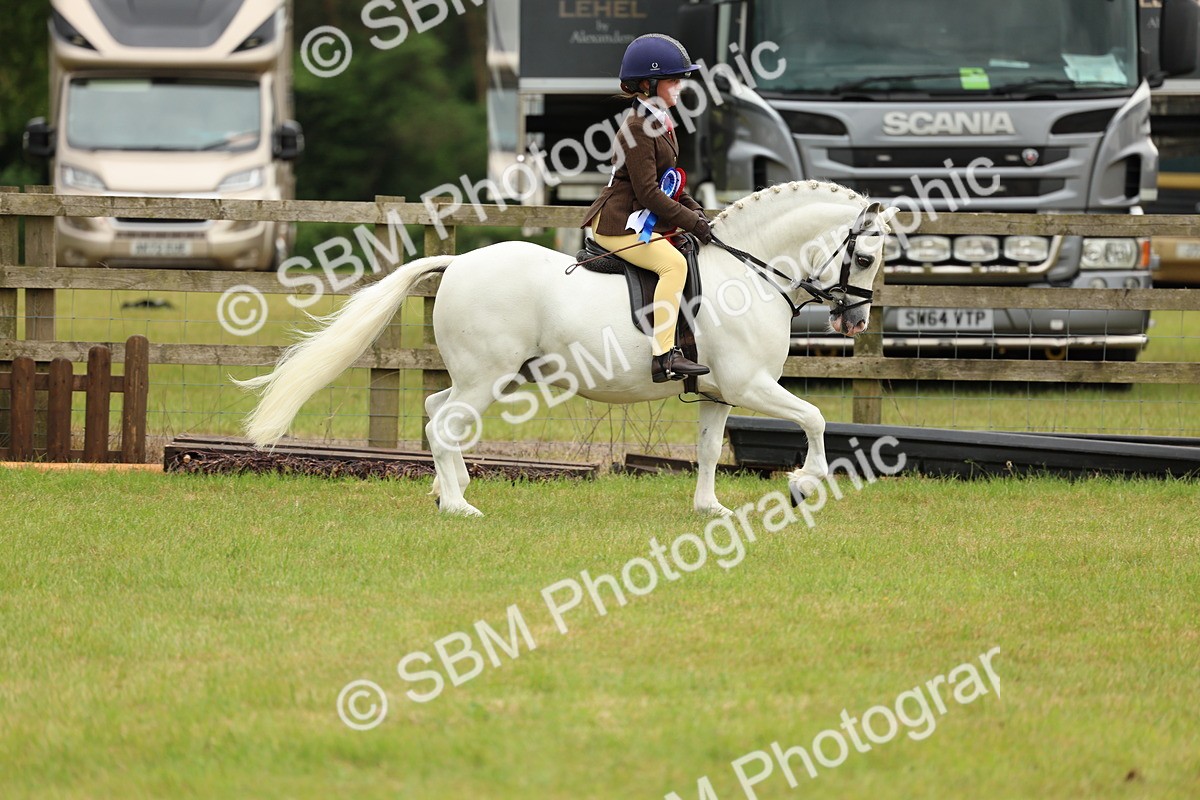SBM_10456 - Class 44-45 - LIHS BSPS Open Nursery and Cradle Stakes