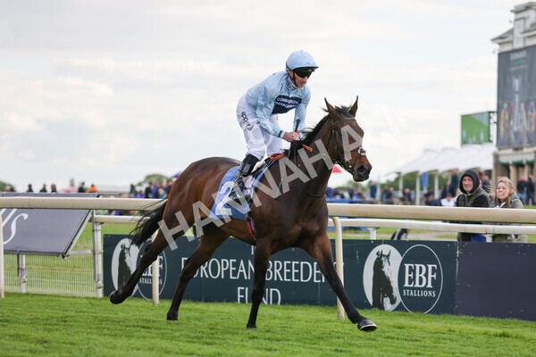 yr11052022r6-7 - Race 6 4.45pm Conundrum HR Consulting Stakes