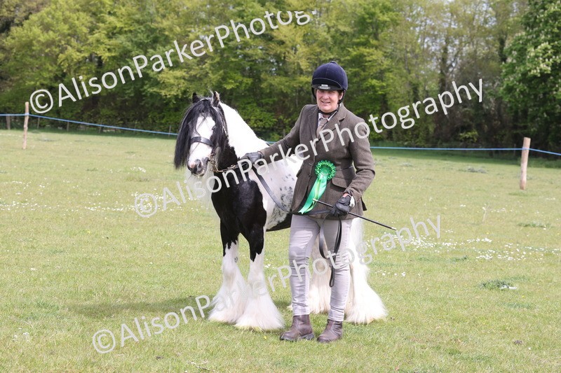 20260426-3383 - Class 27 - Coloured Horses and Ponies