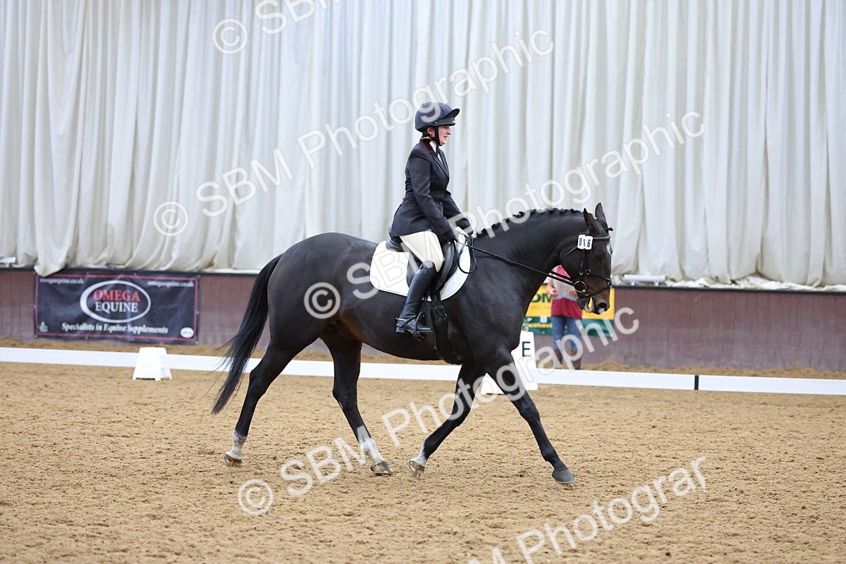 SBM_002073 - Class 5 - Novice 3