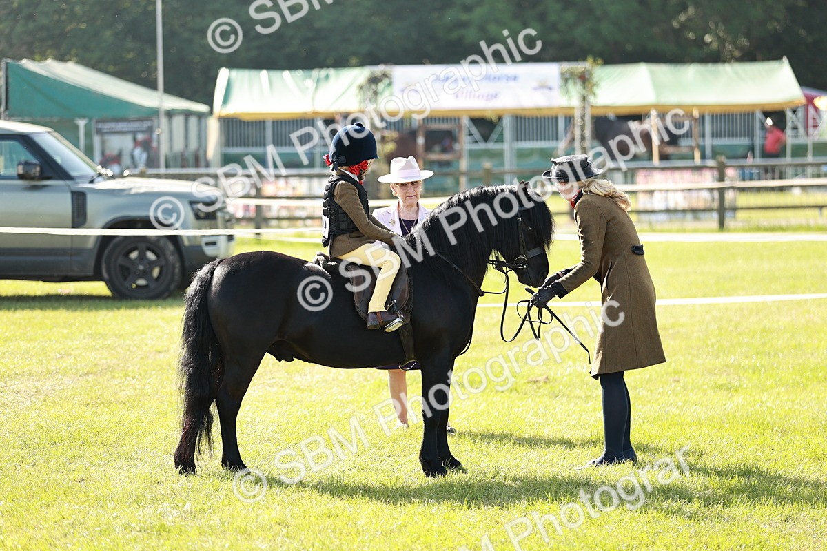 SBM_11265 - Class 106-107 - BSPS LIHS Working Sports Pony