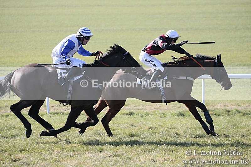 PtP 240218 71 - Vine & Craven Hunt Point-to-Point Barbury racecourse 24/02/18