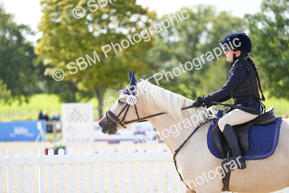 SBM_18152 - J58 - Clear Round 50cm