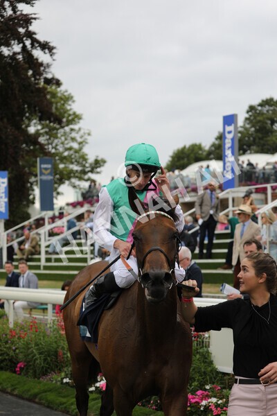 yr18082022r5-36 - Race 5 4.10pm British EBF & Sir Henry Cecil Galtres Stakes