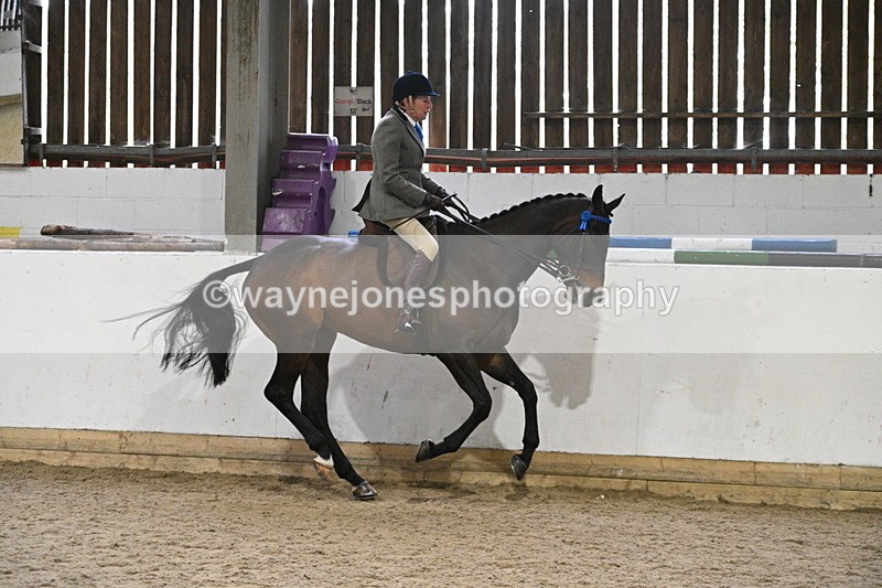 WJ7_4303 - Class 17 Ridden Cob